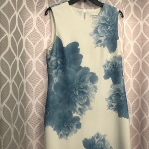 Calvin Klein Women's Petite Sheath Dress